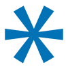 BLue-aster-2