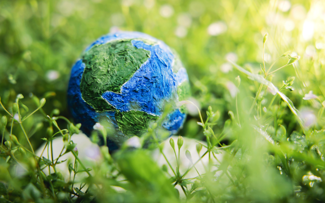 Sustainable Substrates – Eco-Friendly Material for Print